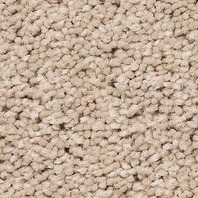 Berber FROSTED HONEY Beige/Tan Carpet