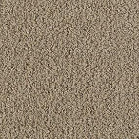 Textured Saxony Northwind Brown Carpet