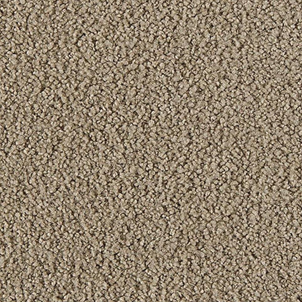 Textured Saxony Northwind Brown Carpet