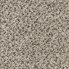 Textured Saxony Bird Song Gray Carpet