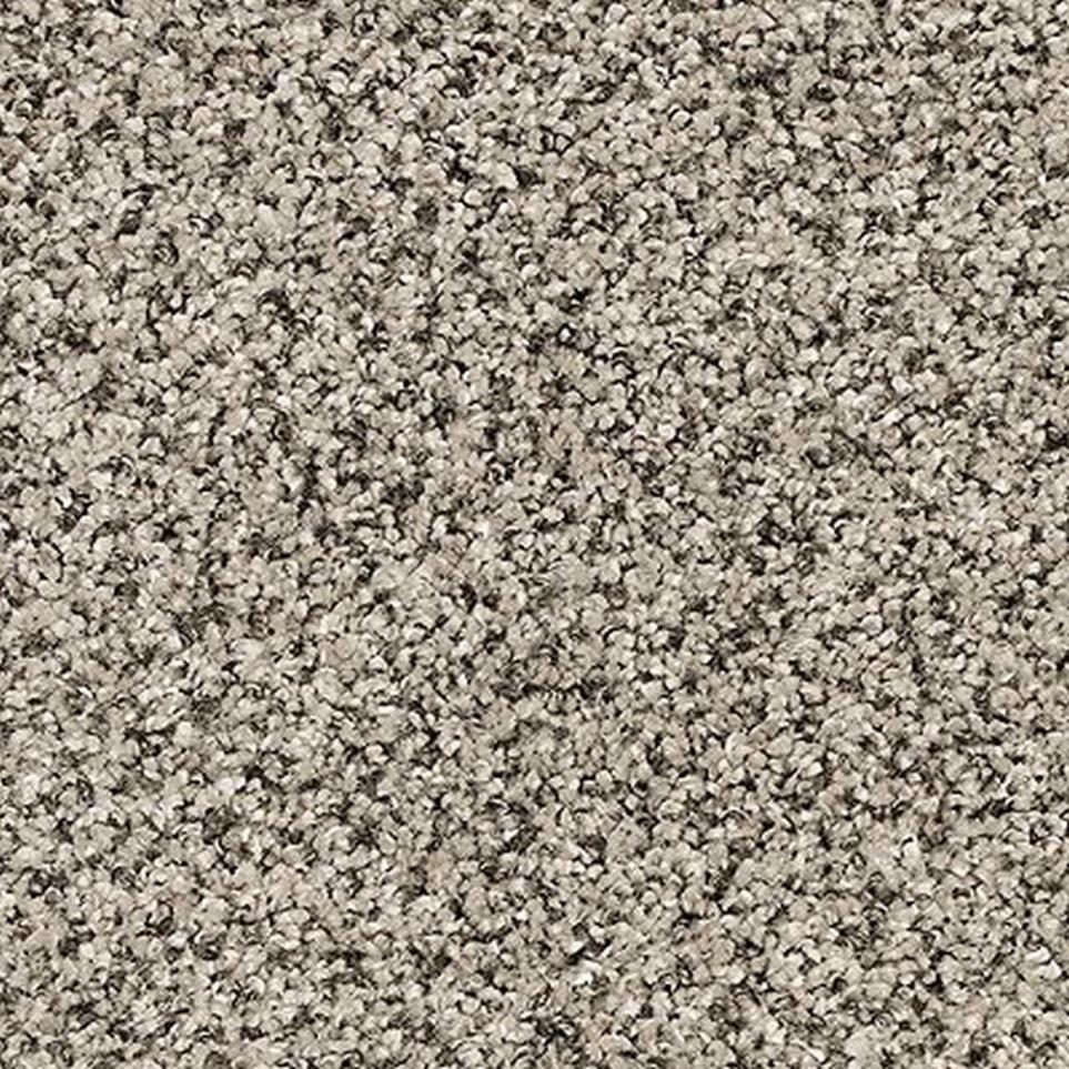 Textured Saxony Bird Song Gray Carpet