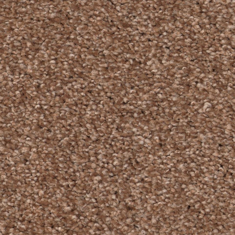 Frieze Terra Cotta Brown Carpet