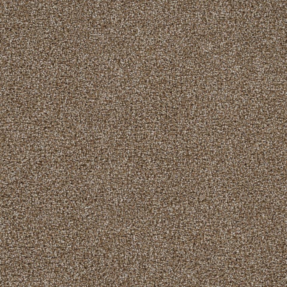 Textured Saxony Casa Nova Brown Carpet