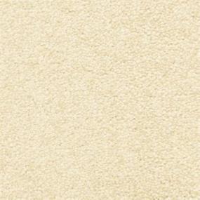 Casual Texture Cork Beige/Tan Carpet