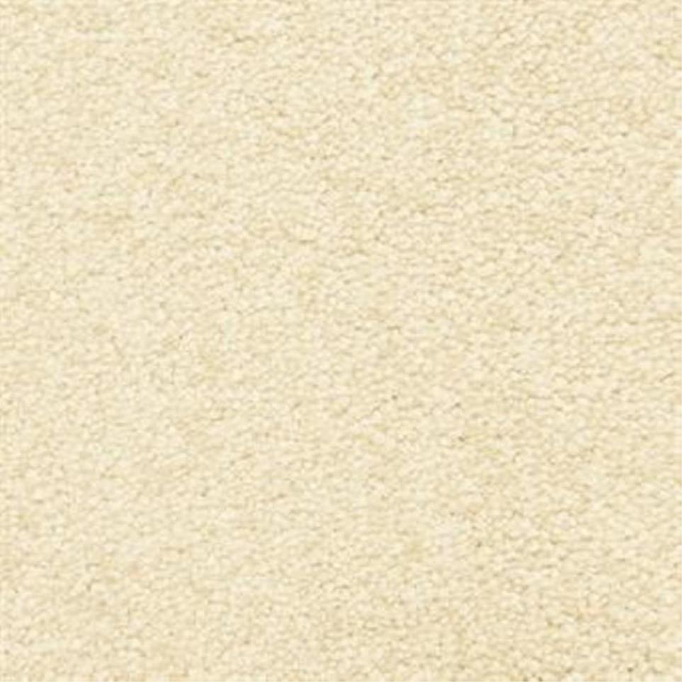 Casual Texture Cork Beige/Tan Carpet
