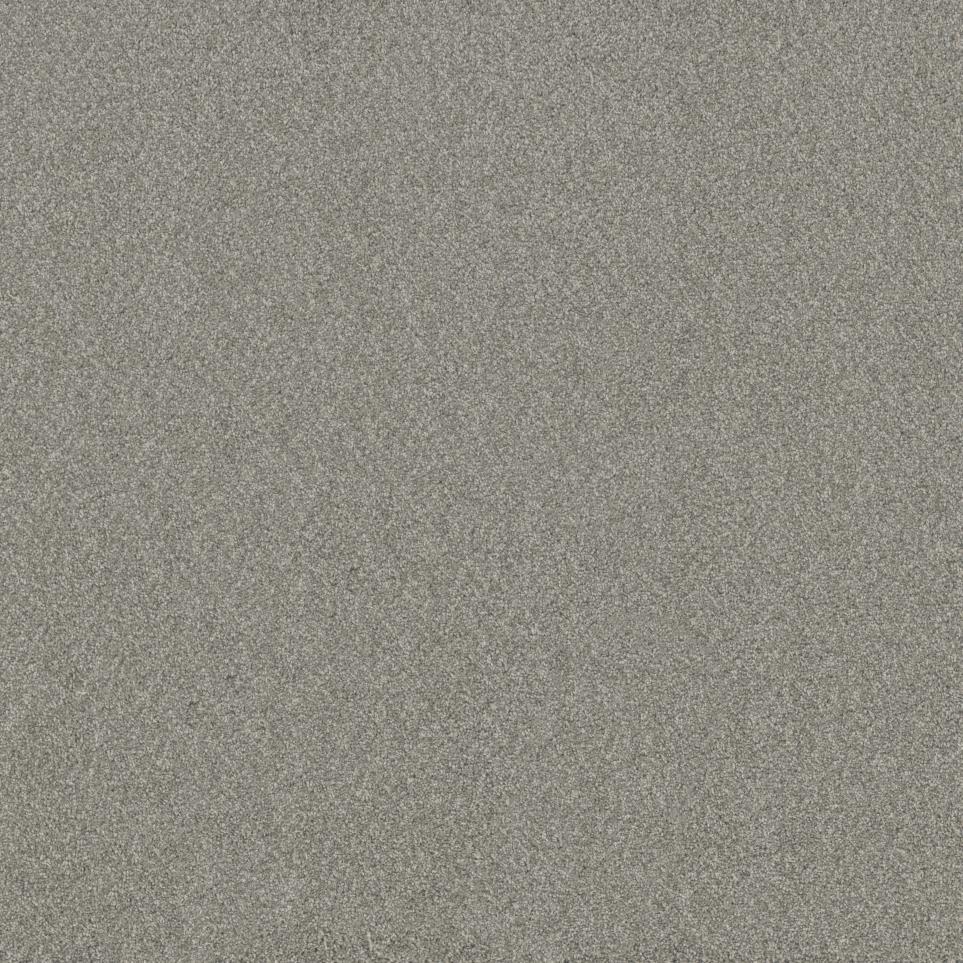 Texture Personal Touch Gray Carpet