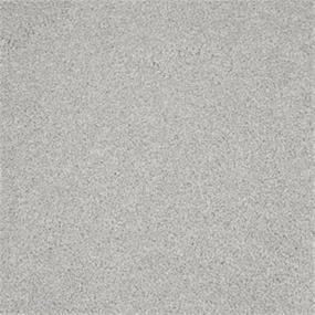 Textured Saxony Gull Gray Carpet
