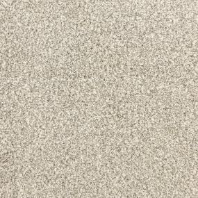 Textured Saxony Fog Beige/Tan Carpet