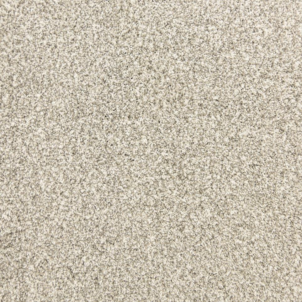 Textured Saxony Fog Beige/Tan Carpet