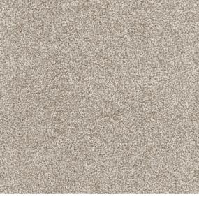 Textured Saxony Spaniel Beige/Tan Carpet