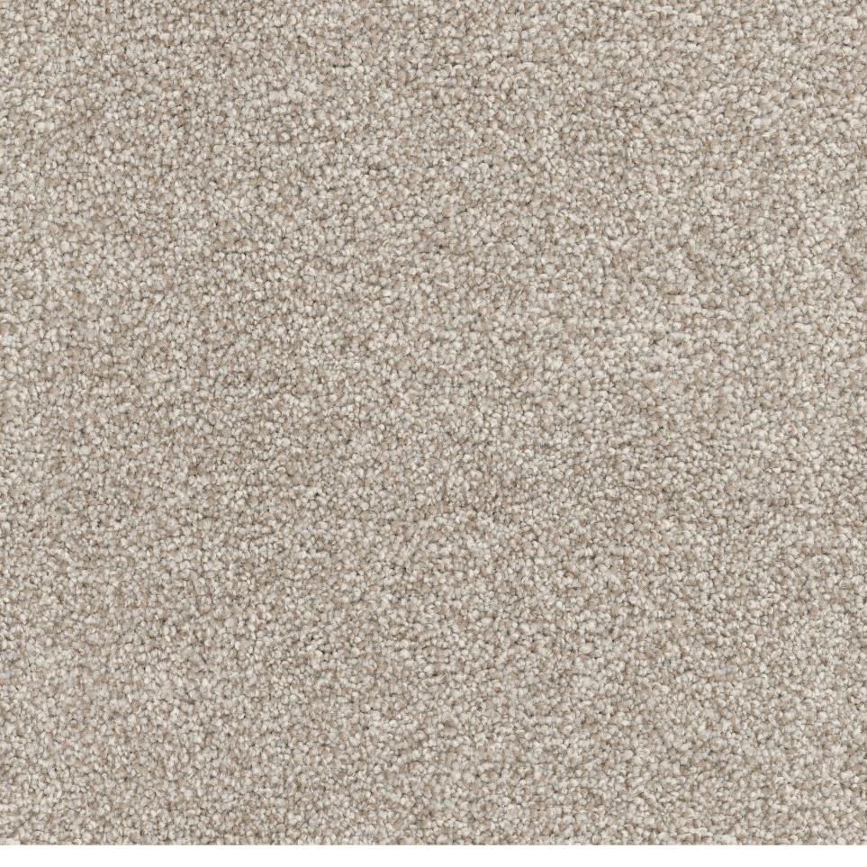 Textured Saxony Spaniel Beige/Tan Carpet