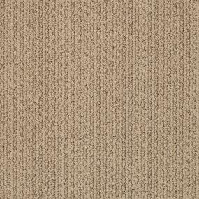 Loop Treasure Chest Brown Carpet