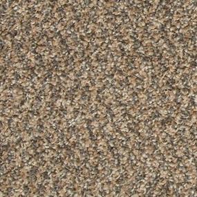 Textured Saxony Honor Brown Carpet