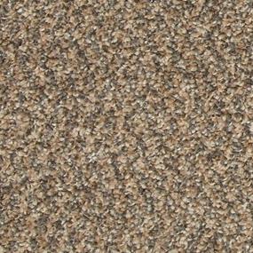 Texture Honor Brown Carpet