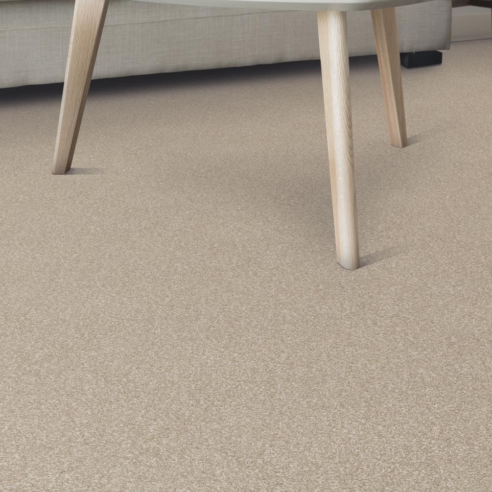 Texture Portico Beige/Tan Carpet