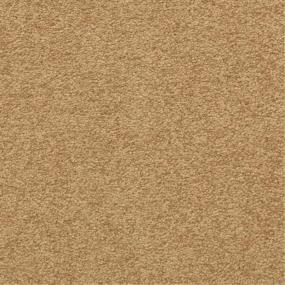 Casual Texture Radiant Beige/Tan Carpet