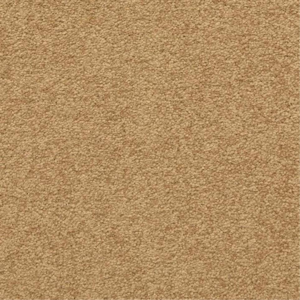Casual Texture Radiant Beige/Tan Carpet