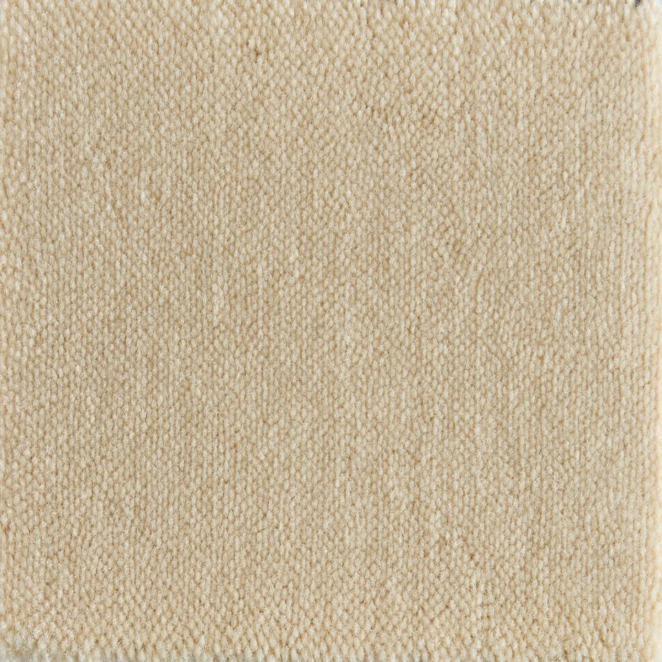 Texture Shell Beige/Tan Carpet