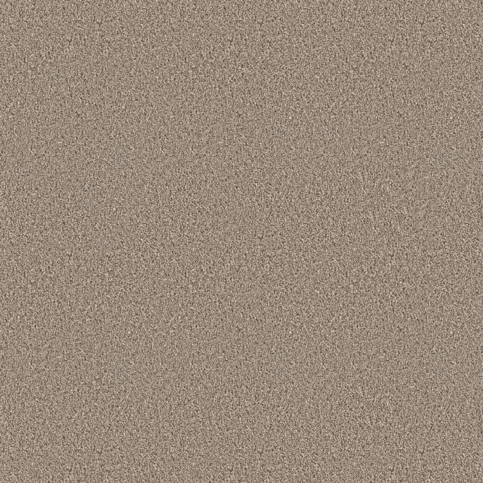 Texture Pathway Beige/Tan Carpet