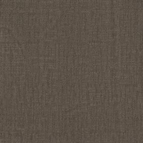 Pattern Colonel Meow Brown Carpet