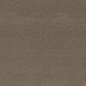 Textured Saxony Favorite Beige/Tan Carpet