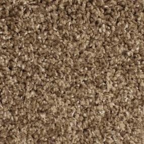 Textured Saxony Favorite Beige/Tan Carpet