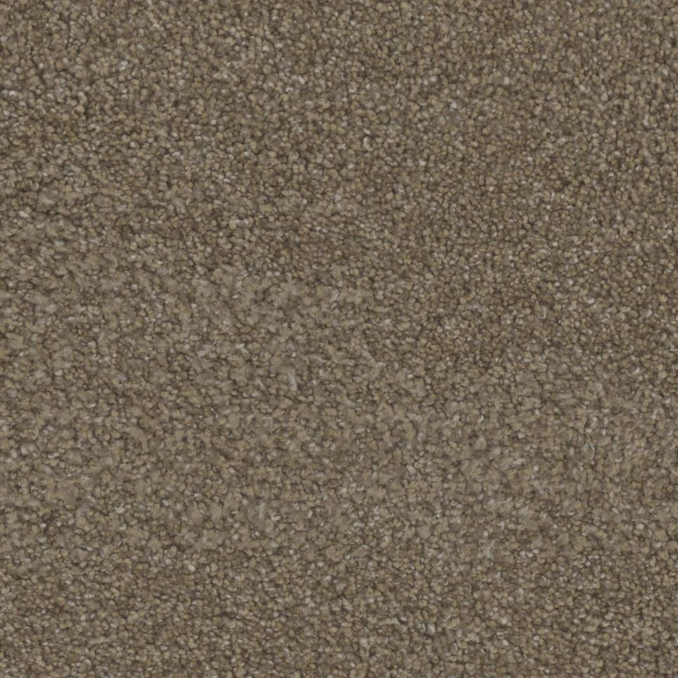 Texture Favorite Beige/Tan Carpet