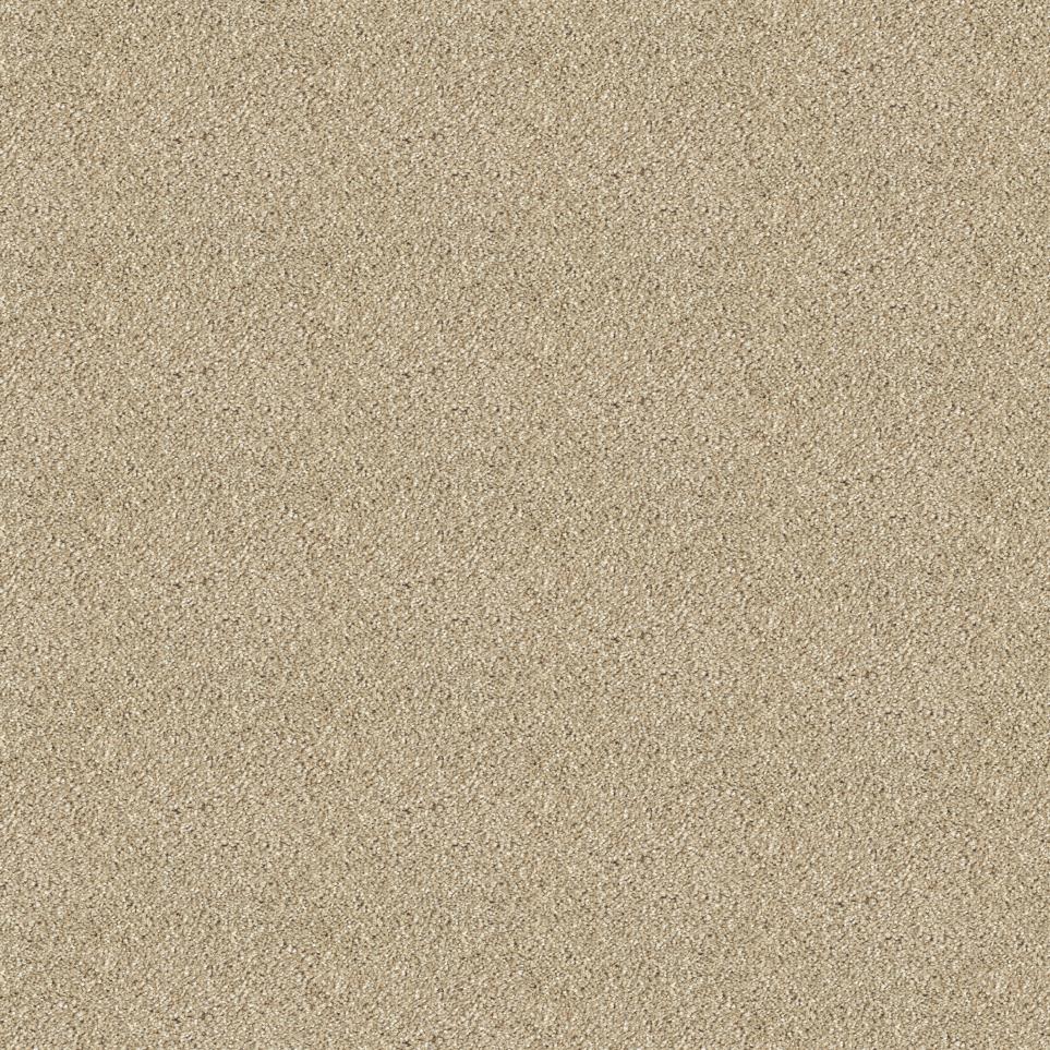 Texture Nutria Beige/Tan Carpet