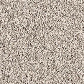 Textured Saxony Sophisticate Gray Carpet