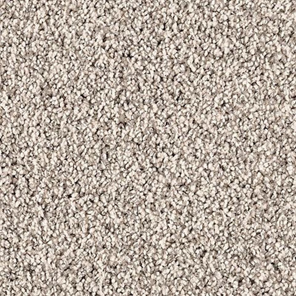 Textured Saxony Sophisticate Gray Carpet
