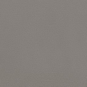 Textured Saxony Silver Dollar Gray Carpet