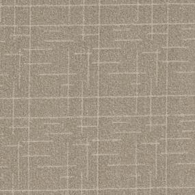 Pattern Simplicity Brown Carpet