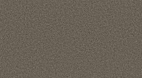 Textured Saxony Chestnut Brown Carpet