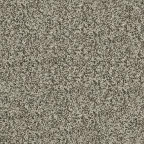 Plush Wellington Gray Carpet