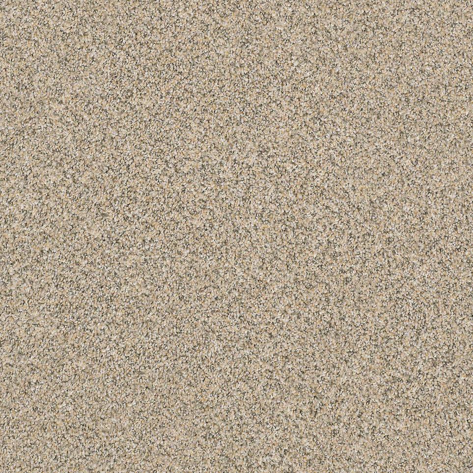 Texture Medallion Beige/Tan Carpet