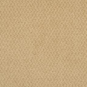 Pattern Fawn Beige/Tan Carpet