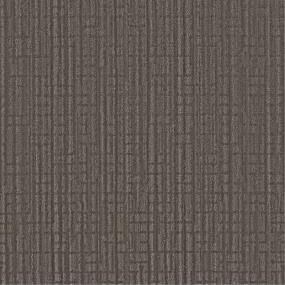 Pattern Harness Brown Carpet