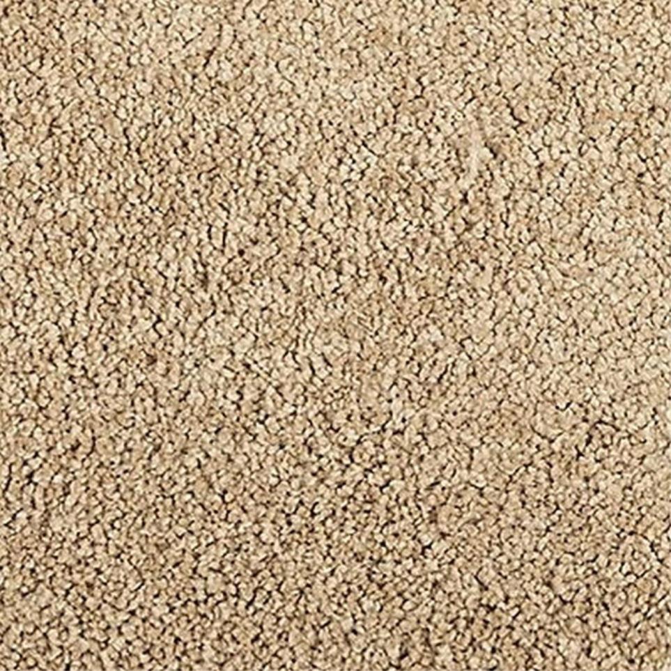 Textured Saxony Shoreline Beige/Tan Carpet