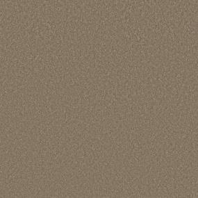 Plush Saxony Basketweave Beige/Tan Carpet