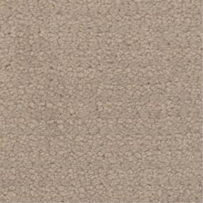 Pattern Stepping Stone Gray Carpet