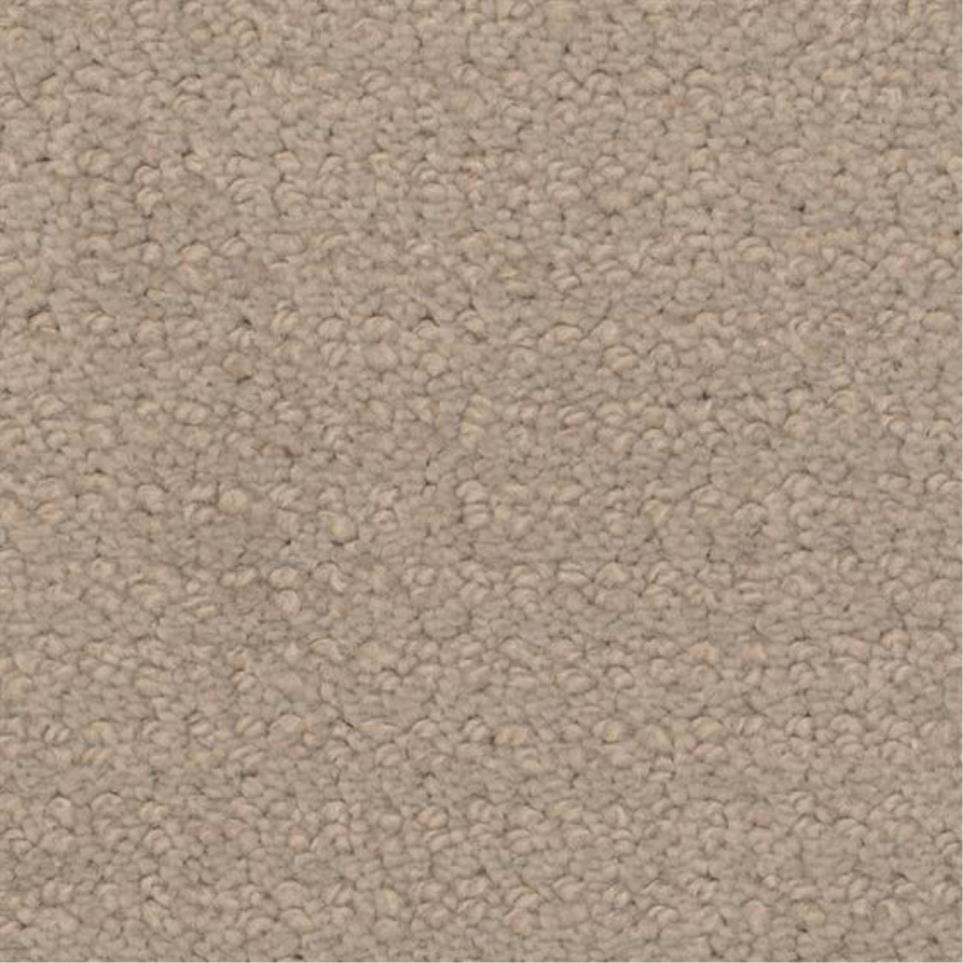 Pattern Stepping Stone Beige/Tan Carpet