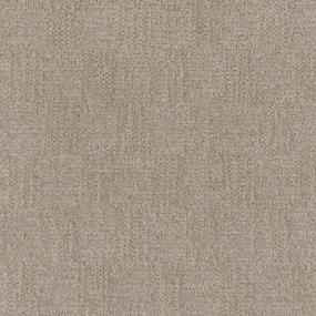 Pattern Haven Beige/Tan Carpet