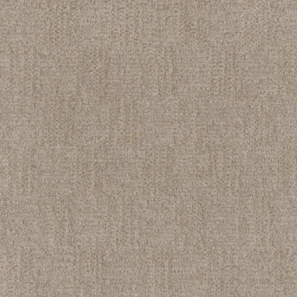 Pattern Haven Beige/Tan Carpet