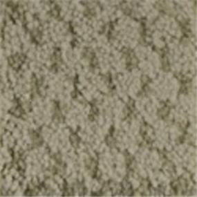 Pattern Mist Beige/Tan Carpet