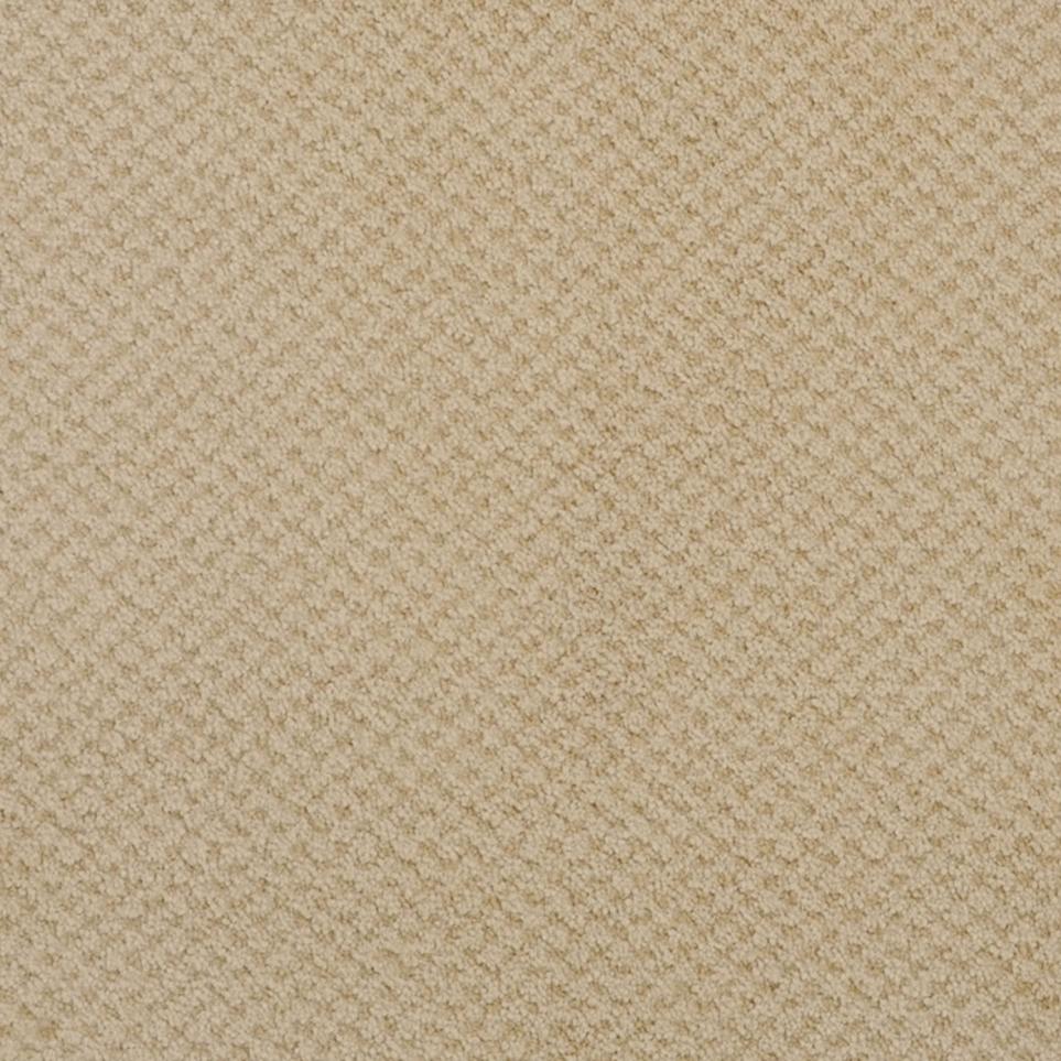 Pattern Adobe Beige/Tan Carpet