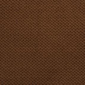 Pattern Burnt Sienna Brown Carpet