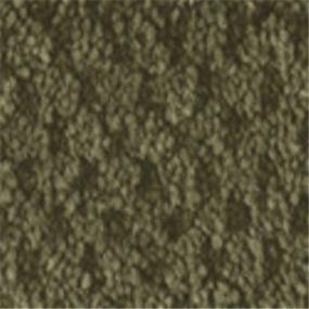 Pattern Deep Olive Green Carpet