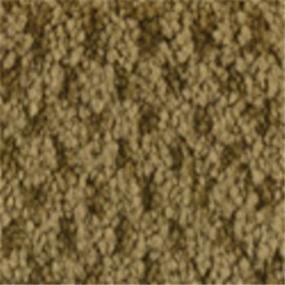 Pattern Raw Sienna Beige/Tan Carpet