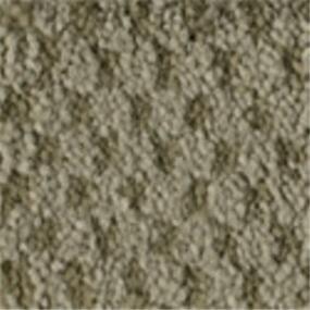 Pattern Putty Beige/Tan Carpet