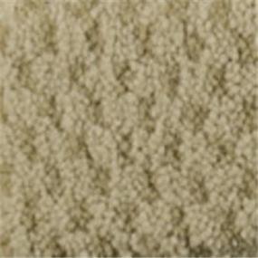 Pattern Beige Beige/Tan Carpet